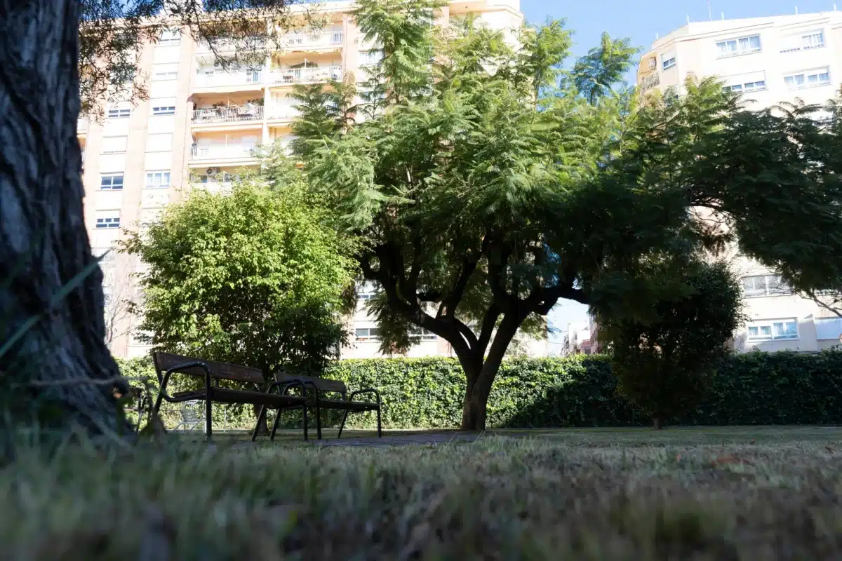 Amplio jardín con árboles y zonas verdes de Residencial Castellón donde pasean los residentes